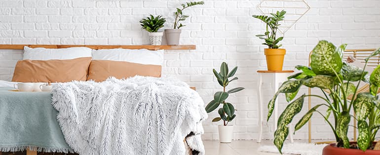 Mudar a decoração da casa | imagem de um quarto decorado com vasos de plantas | Blog Casa das Torneiras.